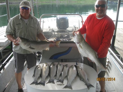 Nice Striped Bass